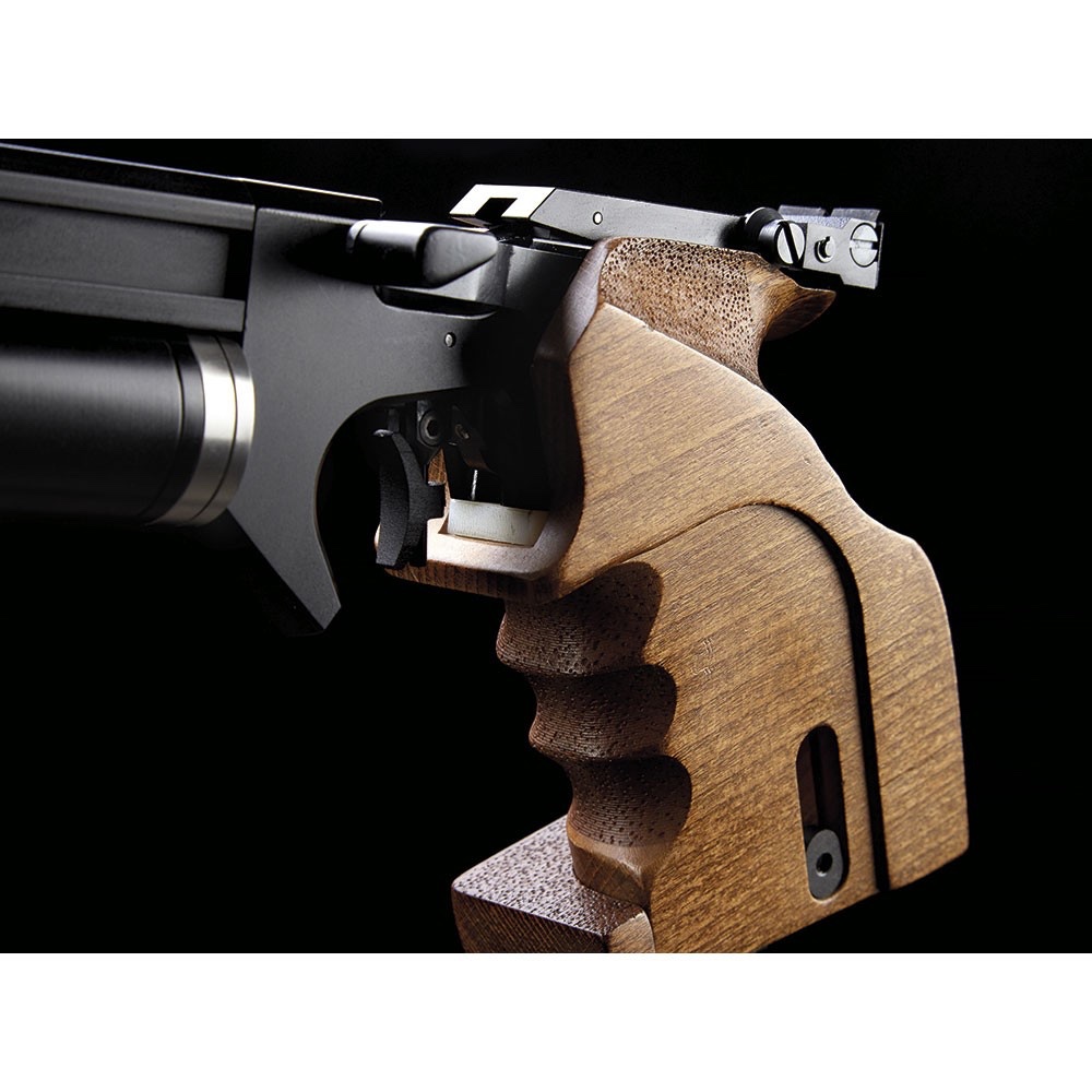 PISTOLA PCP PP20 - Imagen 2
